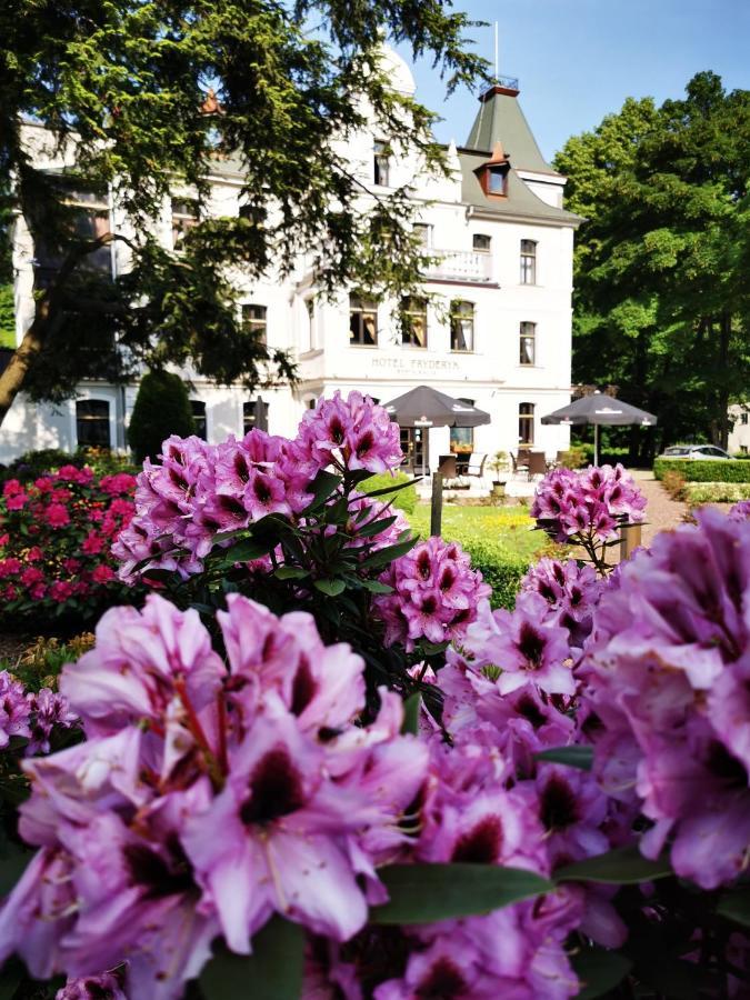 Hotel Fryderyk Duszniki Zdrój Zewnętrze zdjęcie