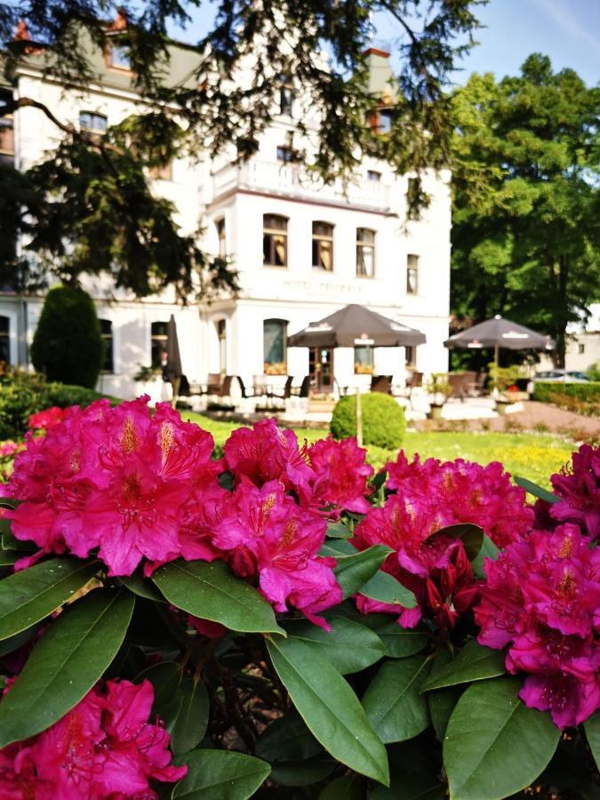 Hotel Fryderyk Duszniki Zdrój Zewnętrze zdjęcie