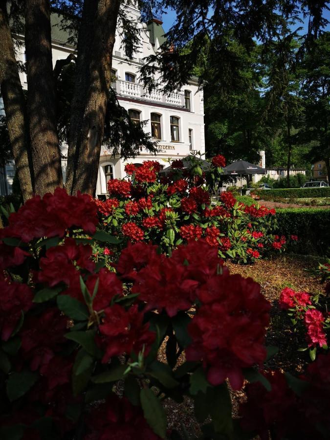 Hotel Fryderyk Duszniki Zdrój Zewnętrze zdjęcie