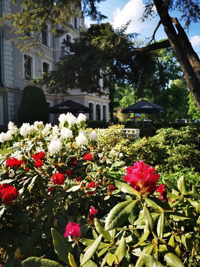 Hotel Fryderyk Duszniki Zdrój Zewnętrze zdjęcie